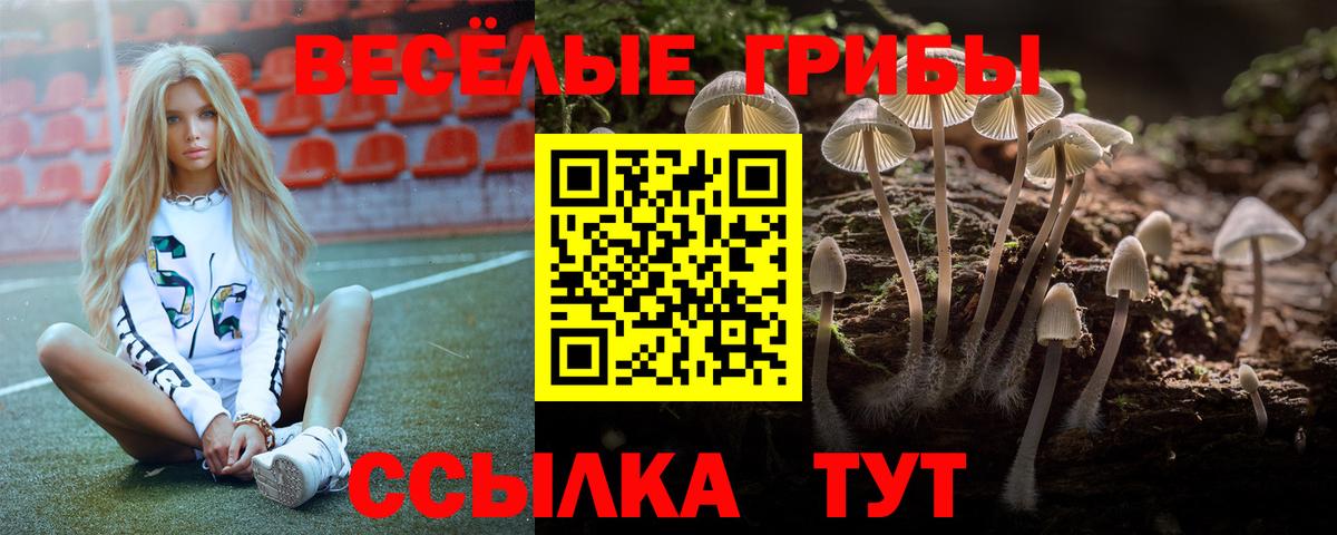 Жигулёвск  Галлюциногенные грибы мицелий  Вход с VPN 